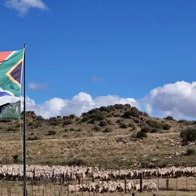 Karoo Stone Folk Trail