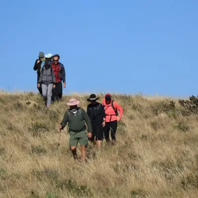 Stone Folk Trail Gallery