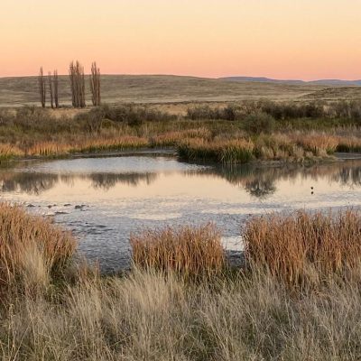 Karoo Stone Folk Trail Gallery