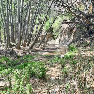 Karoo Stone Folk Trail